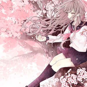 遇见你的那天，樱花开满南山