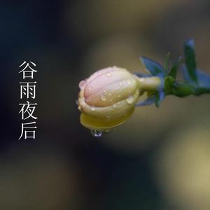 谷雨夜后 伴奏