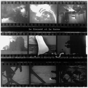 Caimanae (feat. Sooolem)