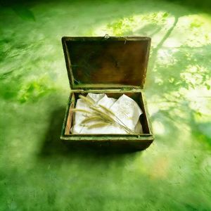 “年轮” 中国风孟菲斯 x 加木 Type Beat