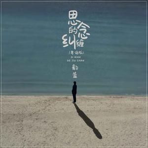 思念的纠缠 (粤语版)