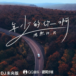 年少的你啊 (DJ未央版)
