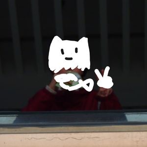 愚人伊莲恩