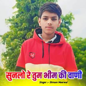 सुनलो रे तुम भीम की वाणी