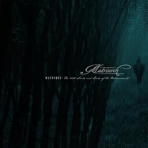 Bathed in Blue Light, Pt. 2