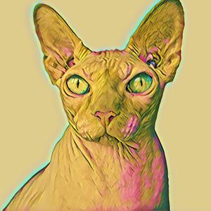 Bald and Boujee (feat. Brandon Evans, Jeremiah Turner & Sylvian Turner)