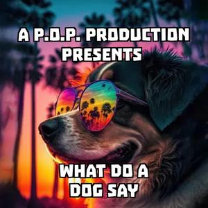 What Do a Dog Say
