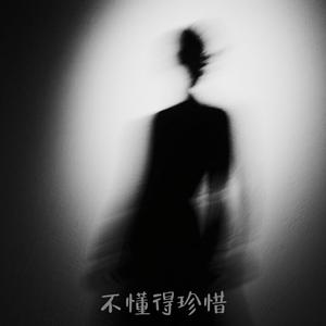 不懂得珍惜 (DJ版)