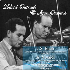 Concert for Two Violins, Strings and Continuo in B Minor, BWV 1043: I. Vivace