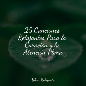 El Bebé Ahora Duerme