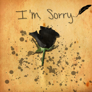 I'm Sorry (Let U Dwn Remix)