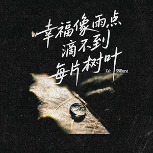 幸福像雨点滴不到每片树叶