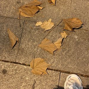 我想念（片段版）