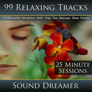 Wind, Rain and Thunderstorm - 25 Minute Session