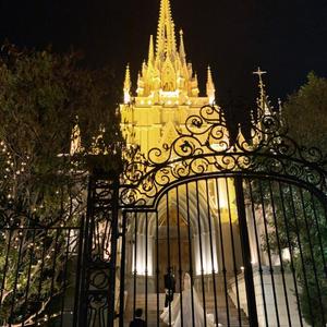 特别邀请（翻自 橘子妹）