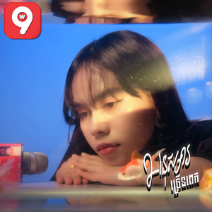 អនុស្សារច្រើនពេក