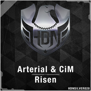 Risen (Radio Edit)