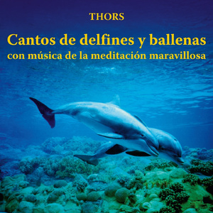 Viaje al País de las Ballenas