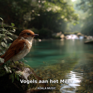 Rustige Vogelgeluiden bij Kabbelend Water, Pt.16