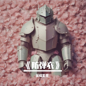 防弹衣