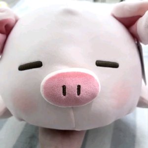 主动的人不会走散