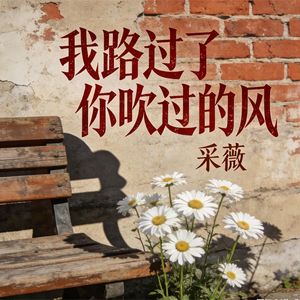我路过了你吹过的风