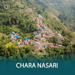 CHARA NASARI