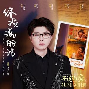 你没说的话 (电影不说话的爱片尾曲)