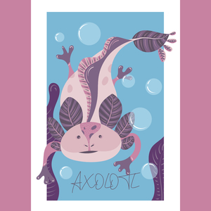 Axolotl