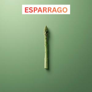 Esparrago
