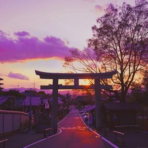 “免费伴奏” 晚霞照耀在地平线上，像最后的歌声想把黑夜点亮。