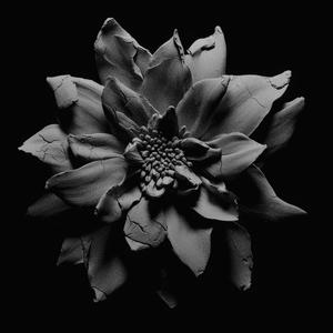 Awake (feat. Doe Paoro)