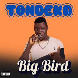 Tondeka