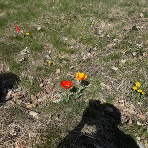 Idrfk ‘bout this (feat. Tywhirl)