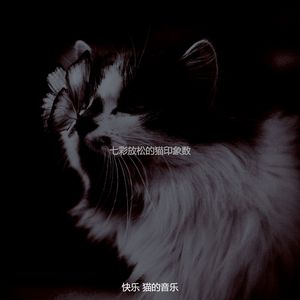 精彩可爱的猫环境