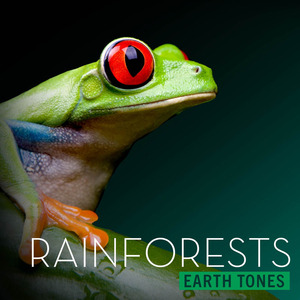 Biodiversity