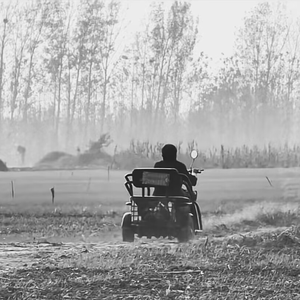 种完麦子 我就往南走