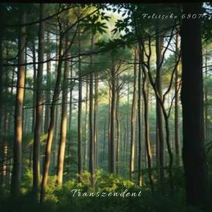 Transzendent
