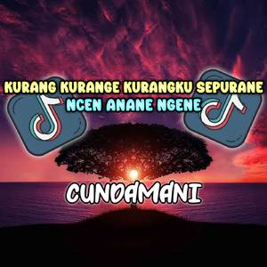 DJ JAWA CUNDAMANI