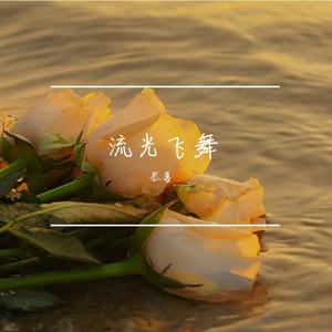 流光飞舞（Cover刘惜君）