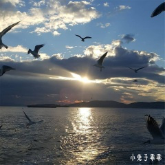 你要的全部拿走