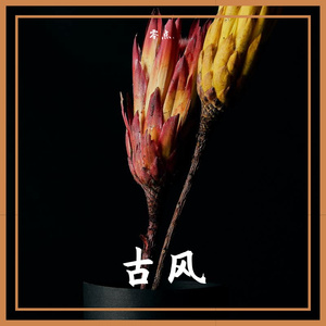 韵寒JUN-天涯客-钢琴版（零点. remix）