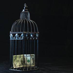 $Caged Pigeon$