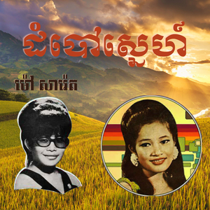 ដំបៅស្នេហ៍