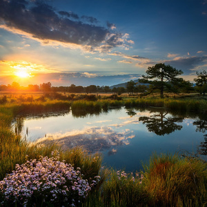Melodías Tranquilas De Lofi Para Lograr Dormir