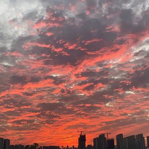 执子之手