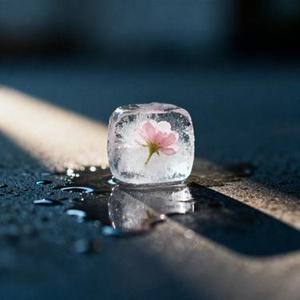 说不上爱别说话