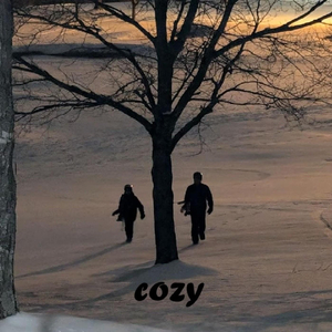 Cozy