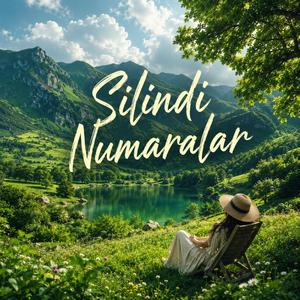 Silindi Numaralar