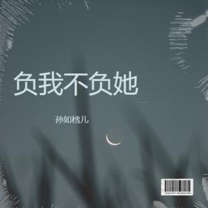 负我不负她
